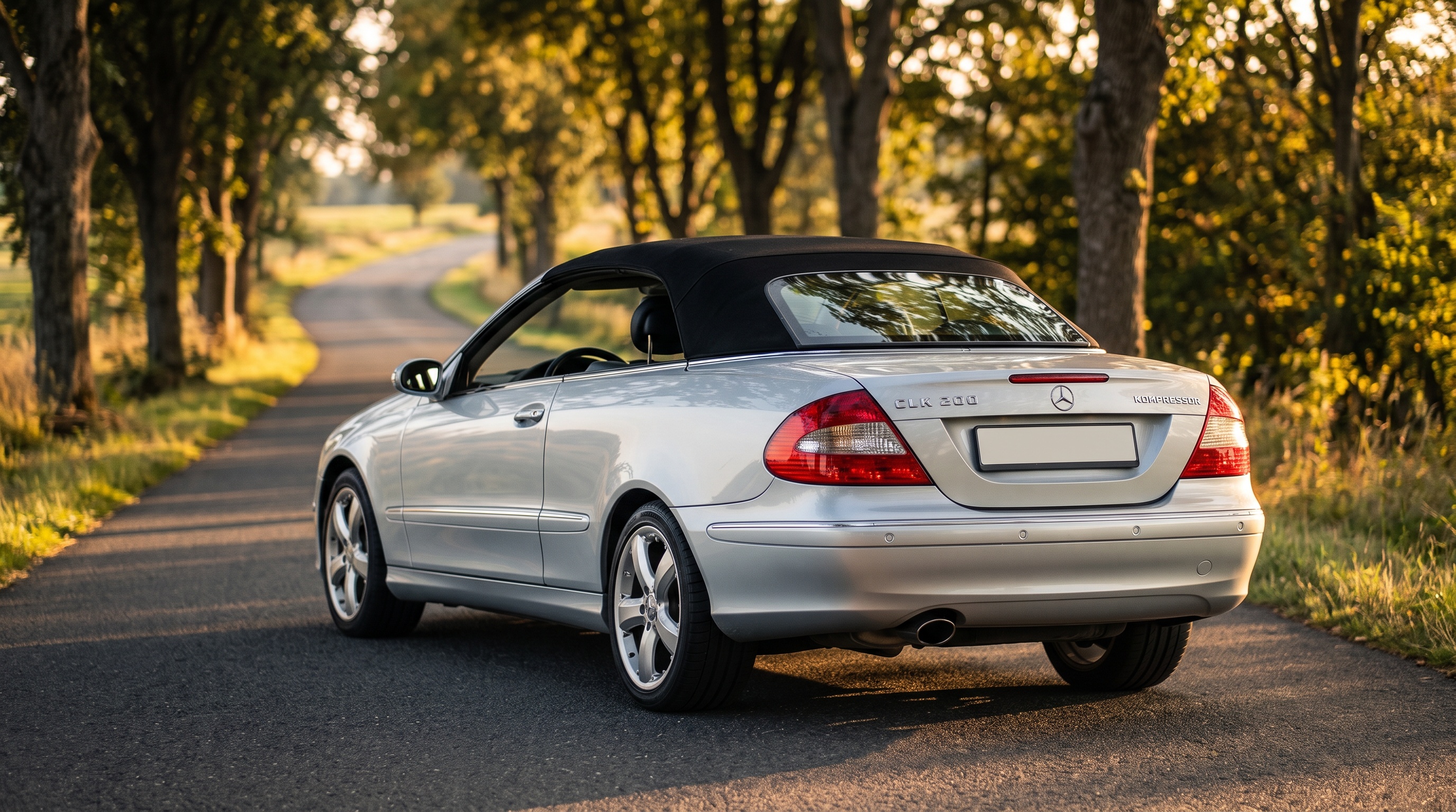 A209 rear three-quarter view