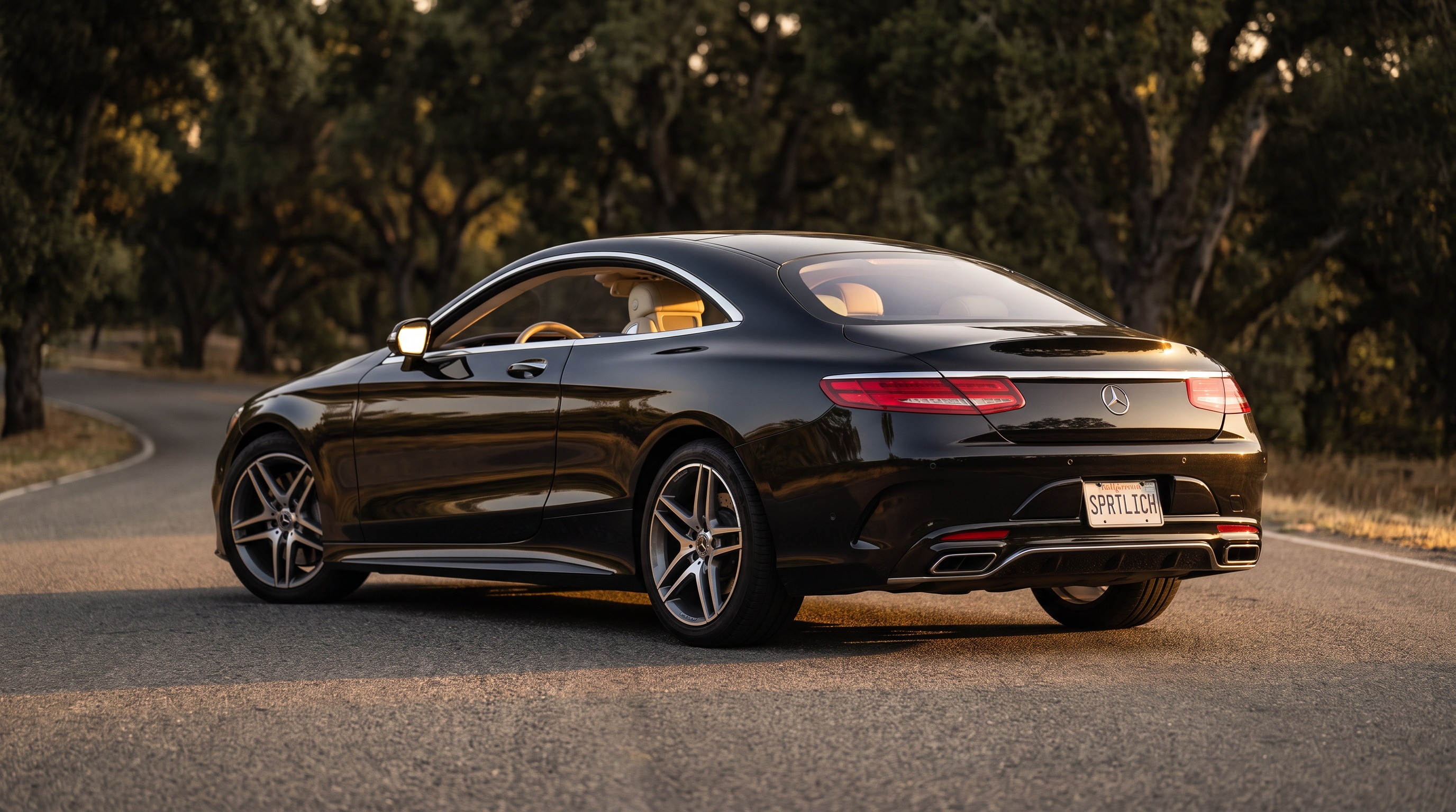 C217 rear three-quarter view