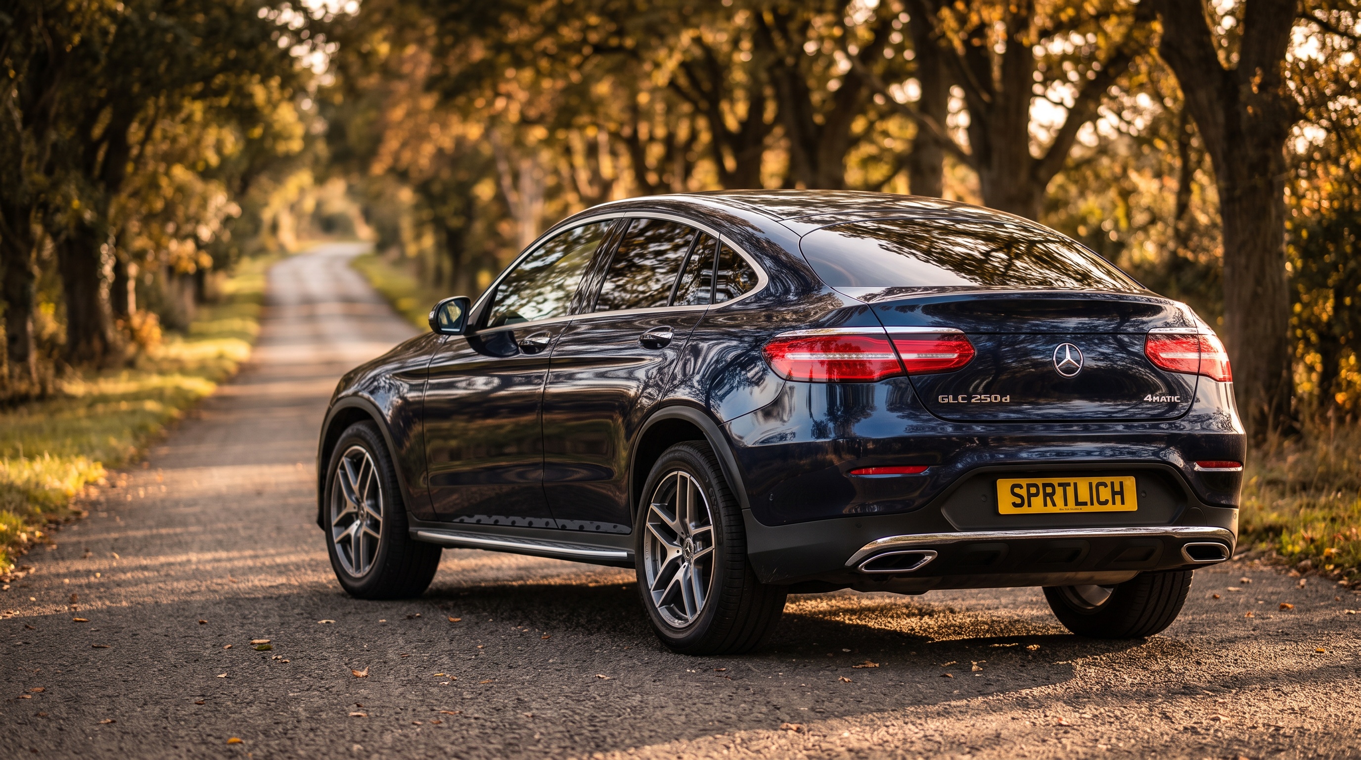 C253 rear three-quarter view