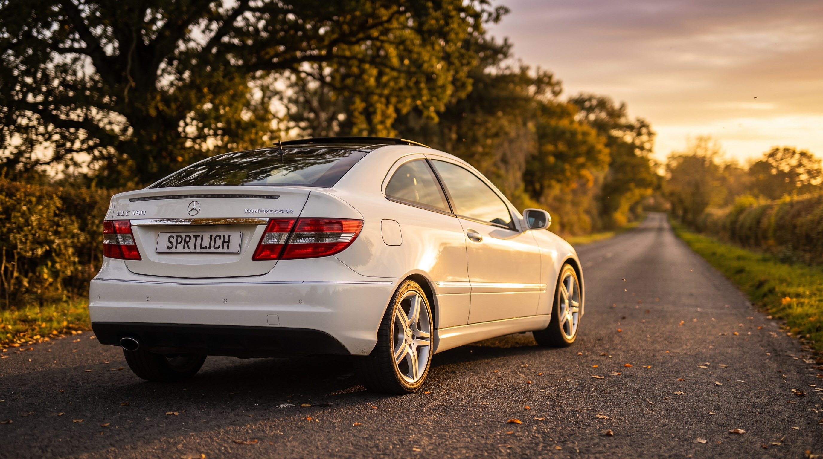 CL203 rear three-quarter view