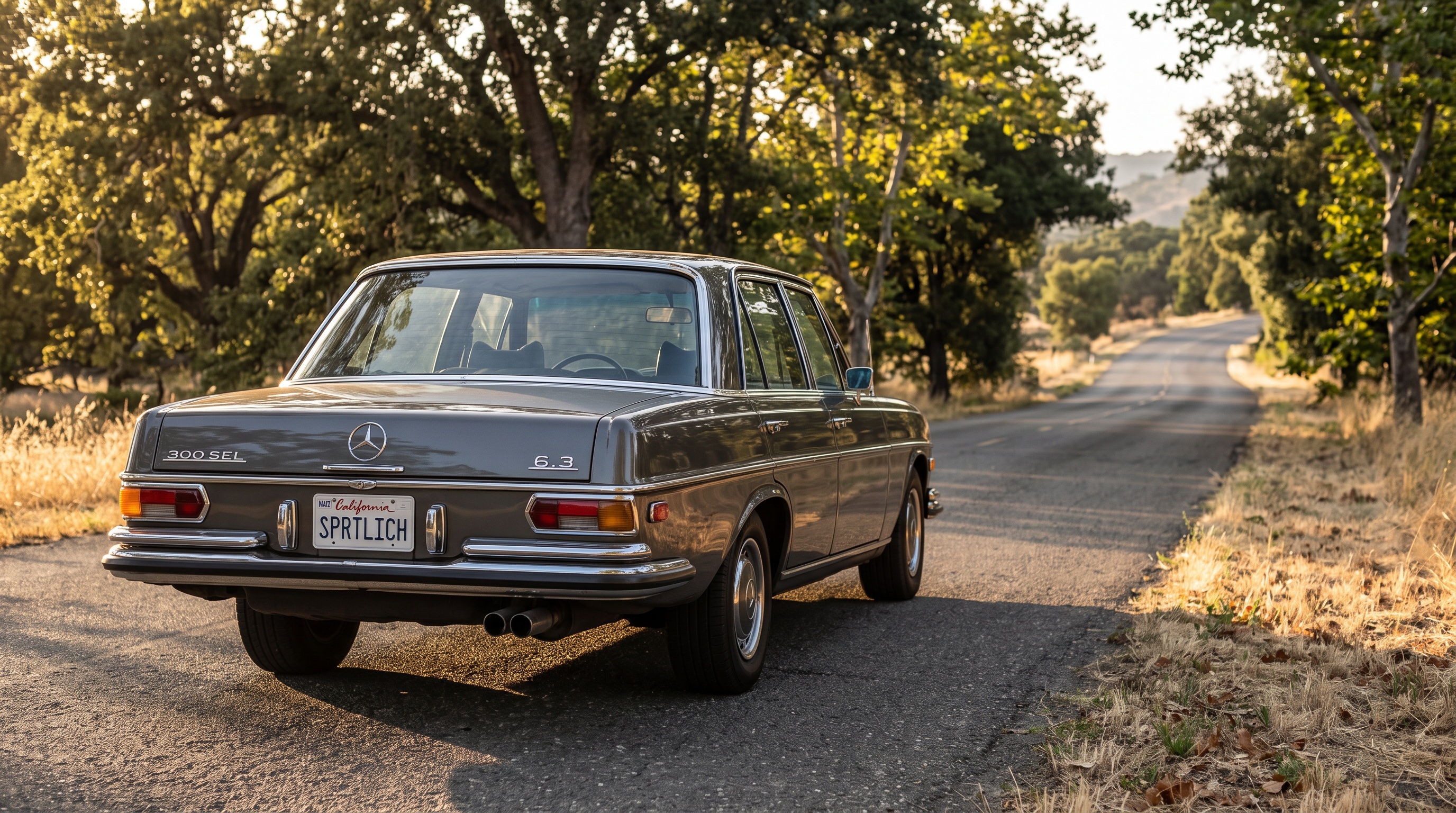 W109 rear three-quarter view