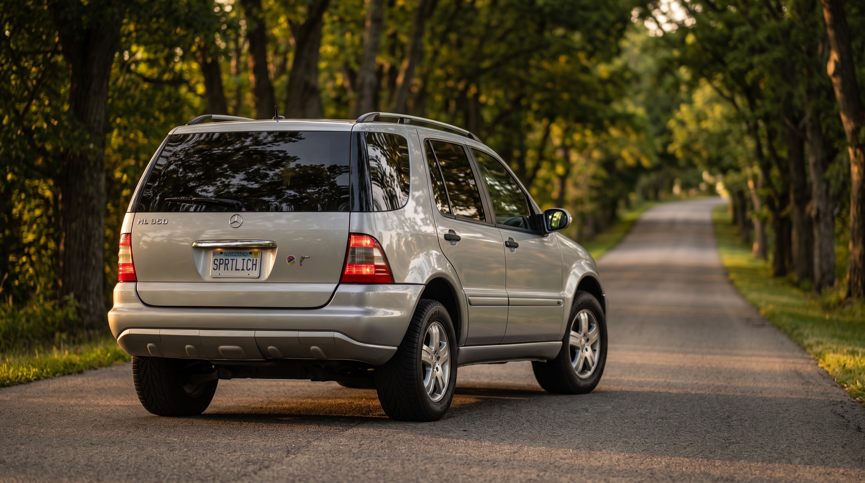 W163 rear three-quarter view