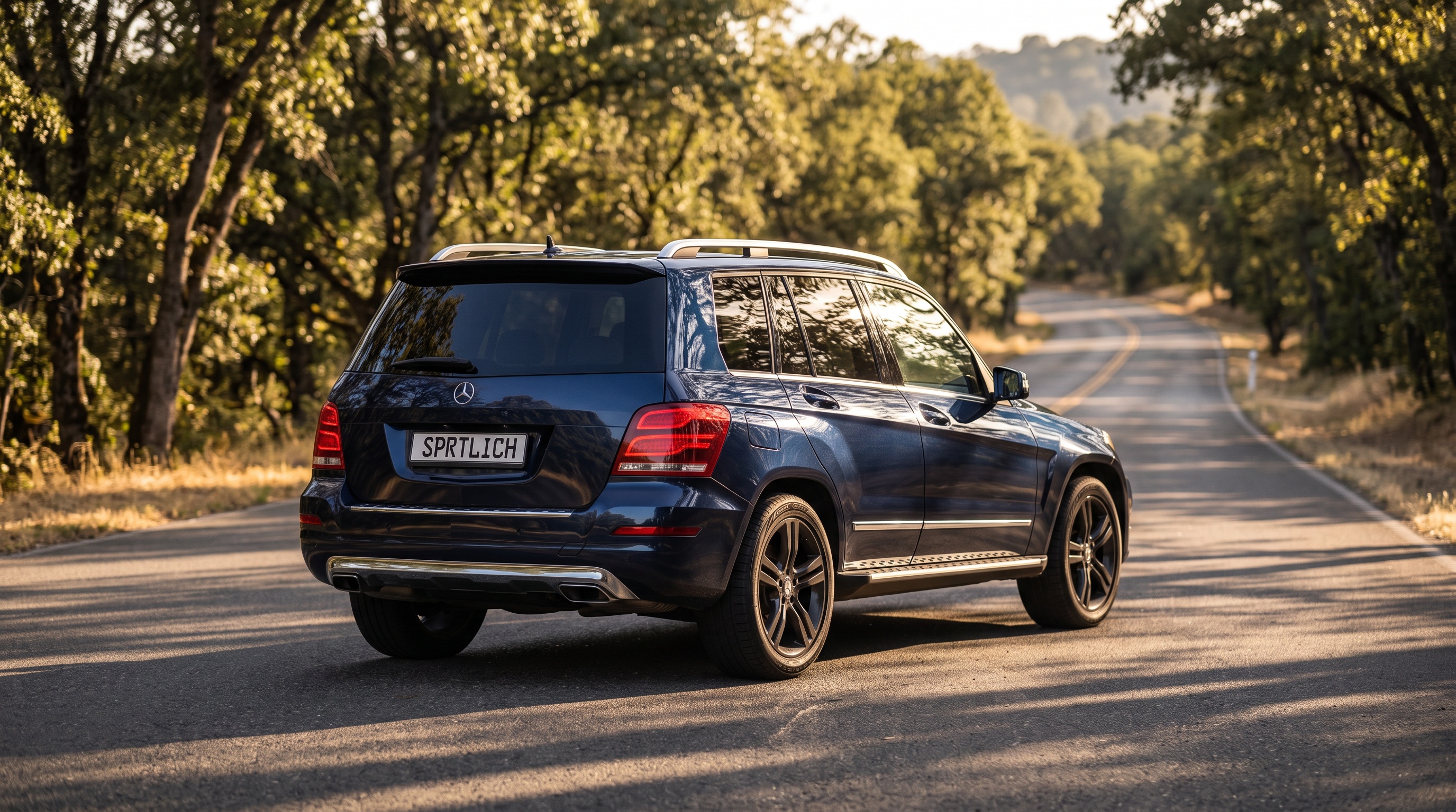 X204 rear three-quarter view