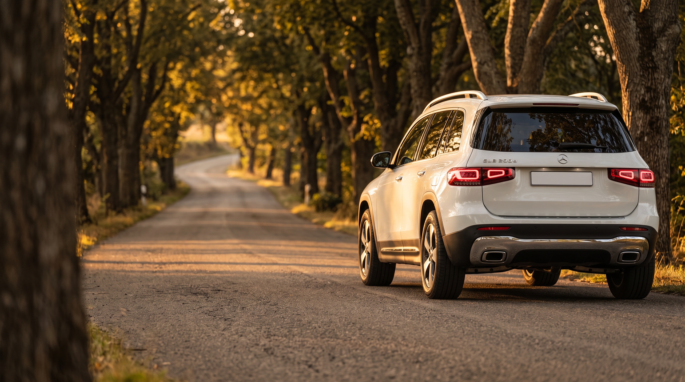 X247 rear three-quarter view