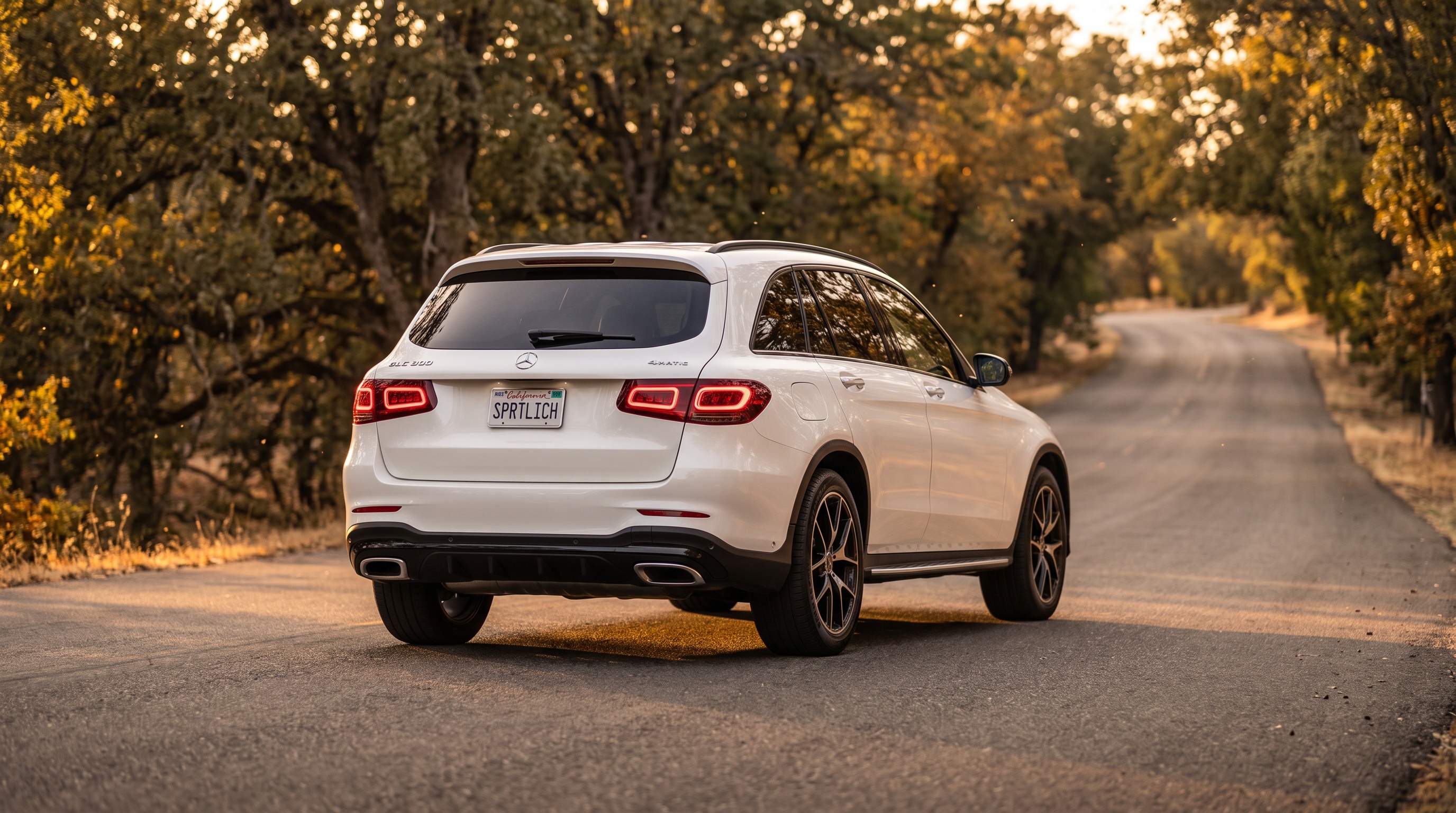 X253 rear three-quarter view